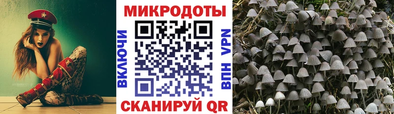 Купить где  Сысерть  Псилоцибиновые грибы прущие грибы 